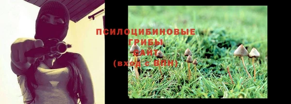 прущая мука Медвежьегорск