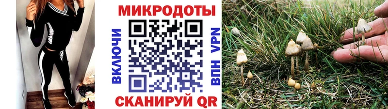 Псилоцибиновые грибы Cubensis  наркотики  Балаково 
