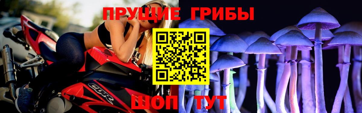 Галлюциногенные грибы Psilocybine cubensis Балаково